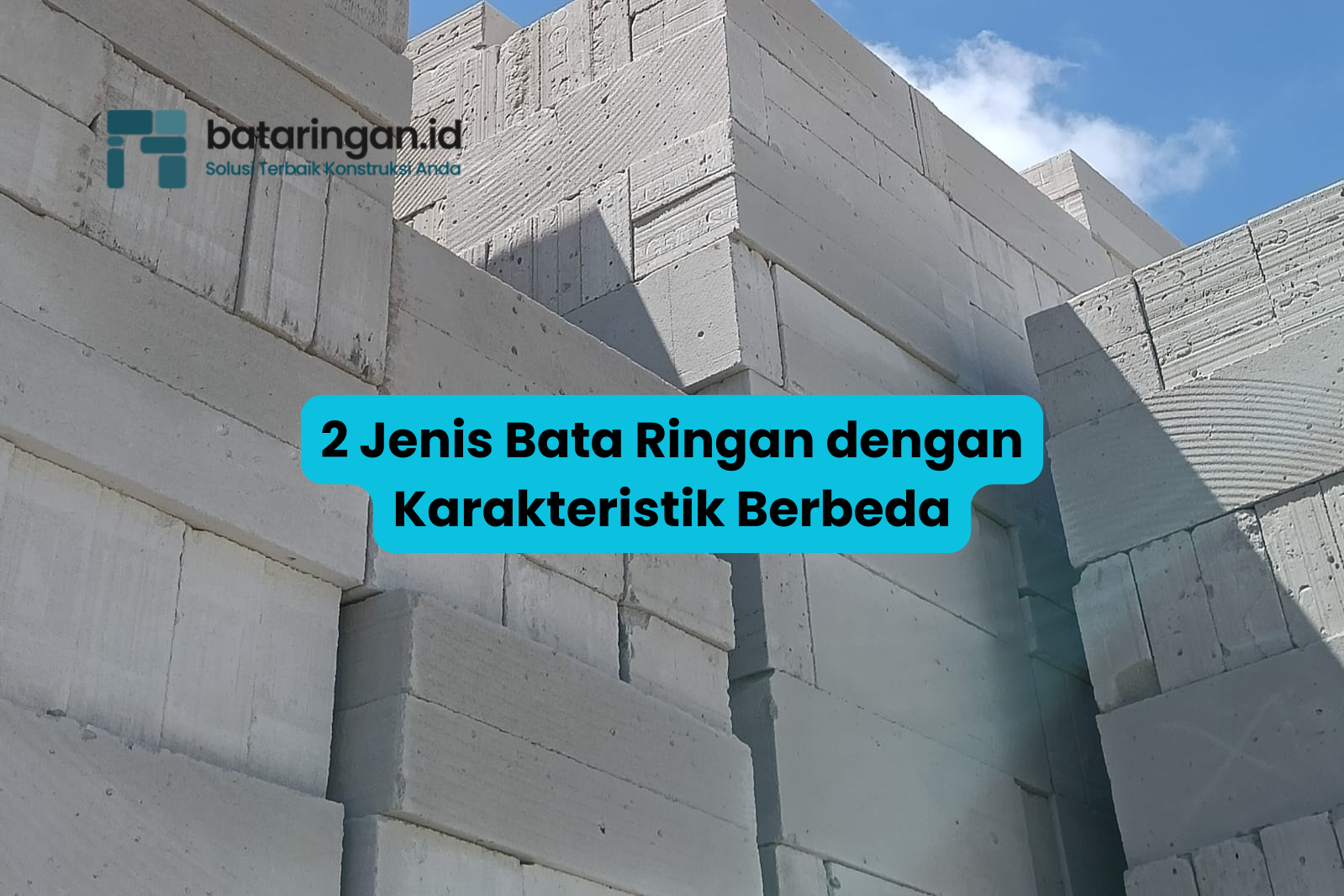 artikel4